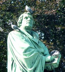 Martin Luther and pidgeons